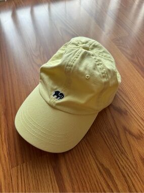 ivory ella baseball hat